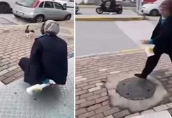 Kediye yağ çözücü sıkan market çalışanı hakim karşısındaydı! Karar açıklandı