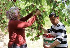 Avrupa ülkeleri sıraya girdi, kapış kapış alıyorlar! Coğrafi işaretli o lezzet pazarın hakimi oldu