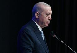 Cumhurbaşkanı Erdoğan: Soykırımın hesabı sorulacak