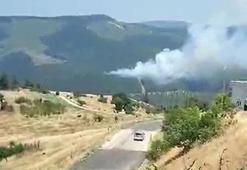 Bursa'da orman yangını! Ekipler sevk edildi