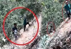 CHP İlçe Başkanı ve oğlu fotokapana takıldı! Kenevir tarlasını sularken görüntülendiler
