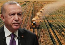 Cumhurbaşkanı Erdoğan'dan peş peşe tarım müjdeleri! Kredi limitleri artırıldı, rekoltede rekor beklentisi