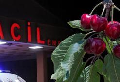 Sır gibi olay! Bahçeden yediği kiraz sonu oldu