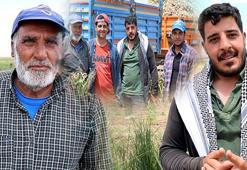 Tıpkı Türk filmi gibi! Sevdiğine kavuşmak için sarımsak tarlasında gece gündüz ter döküyor: '600 bin liradan başlıyor...'