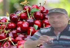 Dalından koparıp yedikleri kiraz karı ve kocanın sonu oldu