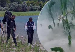 Sapanca Gölü'nün 2 metre derinliğinde keşfedildi! Yetkililerden açıklama geldi