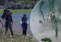Sapanca Gölü'nün dibinde gizemli görüntü! Pamuksu oluşum şaşkına çevirdi