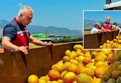 Tadıyla büyülüyor, kazancıyla ihya ediyor! Bölge ekonomisinin tescilli gözdesi için sahaya indiler