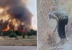 Ankara'da otluk alanda korkutan yangın! Ateşe veren şüpheli kamerada