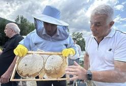 AB tescilli lezzette hasat başladı! 70 derde deva, kilosu 1250 liraya satılıyor