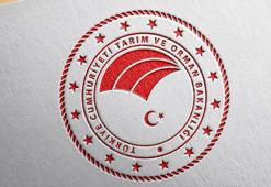 İthal edilecek ürünlere yeni düzenleme! Tarım ve Orman Bakanlığı listeleri güncelledi