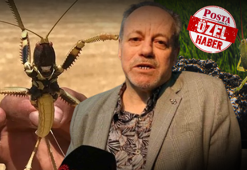 Dev çekirgeler neden bir anda ortaya çıktı? Panik yaratan görüntülerin perde arkası: 'Avrupa'dan gelmediler'