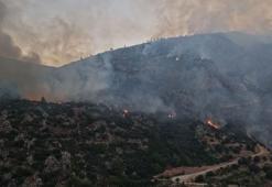 Antalya Kaş'ta orman yangını! İkinci günde müdahale sürüyor