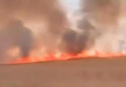Nusaybin'de mayınlı sınır hattında korkutan anız yangını