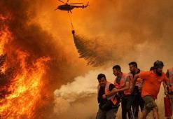 Orman yangınlarında son durum! Marmara Adası'nda 1 kişi gözaltına alındı