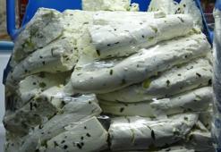 Bu yıl üretimi arttı, almak isteyen sıraya girdi! Kışın bulamayız korkusuyla 15 kilo alanlar bile var