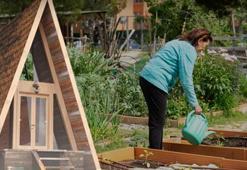 ​Arazi sınırı 20 dönüme düşürüldü! Hobi bahçeleri ve bungalovlar için yeni dönem