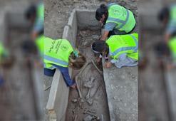 Aspendos'ta 2 bin 400 yıllık güreşçi mezarı keşfedildi!