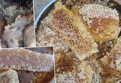 Bulması da çıkarması da zahmetli! Kilosu 10 bin TL’ye alıcı buluyor