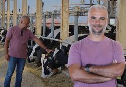 Robert Koleji mezunu soluğu ahırda aldı! 580 hayvanla başladı, 3 bin 100’e ulaştı: 'Arkadaşlarım çok şaşırıyor'