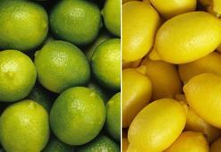 Misket ve sarı limon arasındaki fark nedir? Yanıtı duyanlar 'bunu bilmiyordum' diyorlar