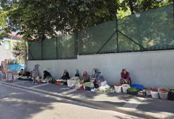 Boyu küçüldükçe fiyatı artıyor! Kadınların kaldırım üstünde kurduğu pazar gelir kapısı oldu
