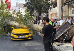 Nişantaşı'nda çınar ağacı taksinin üzerine devrildi, yol trafiğe kapandı!