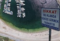 Kirliliğe rağmen denize girdiler! Çocukların bulunduğu sahilde endişelendiren görüntü