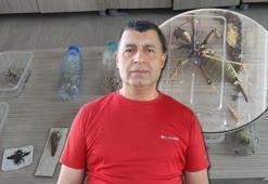 Nemrut’ta gizemli çekirge mesaisi! 2 yabancı uyruklu suçüstü yakalandı