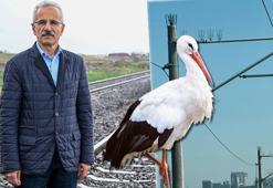 153 yıllık demiryolunda elektrik hatlarına 'leylekkonmaz' tedbiri!