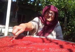 Salçanın rengi organik olduğunu gösterir mi? Meğer dikkat edilmesi gereken nokta buymuş