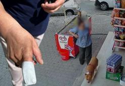 Parmağını koparan pitbullun sahibine şiir yazdı! 'Bre gafil, neden takmadın köpeğine ağızlık?'
