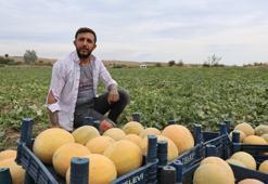 Adanalı üreticinin 'tarladan halka' başarısı! Akide şekeri tadındaki kavunları kilosu 15 TL'den satıyor