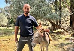 Kayıp eşeğini yediemin otoparkında buldu! Gelen linkle şoke oldu
