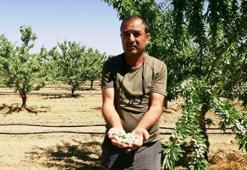 Türkiye'de büyük açık var' dedi, hobi olarak başlayıp dev tesis kurdu...