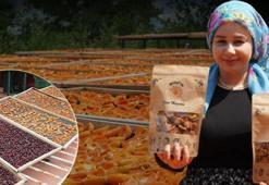 ​Tüccarın 'yüzüne bakmadığı' meyveleri aldı, şimdi Türkiye'nin dört bir yanına satıyor!