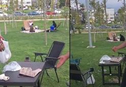 Çekirdekleri yere attı, cezayı görünce neye uğradığını şaşırdı!