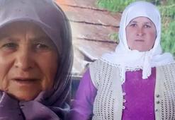 65 yaşındaki kadının ölümünde korkunç 'cinsel saldırı' detayı!