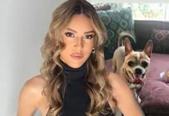 Sinem Kobal'ın patili dostu hayatını kaybetti! 'Tüm koşulsuz sevgin için teşekkürler oğlum'
