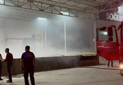 Bursa İznik'te soğuk hava deposunda yangın