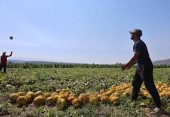 Tarlada 10 TL, manavda 40 TL! Yağışlar yüzünden gecikti, herkes aynı ürünü ekti...