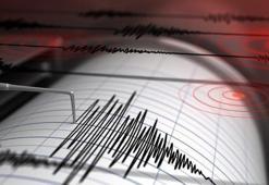 ADANA DEPREM HARİTASI VE RİSKLİ İLÇELER: Adana'da deprem mi oldu, saat kaçta, nerede? Adana fay hatları nereden geçiyor, hangi bölgeler tehlikede?