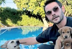 Satın almadı sahiplendi