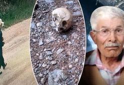 15 aydır kayıptı! Ormanda kafatası ve takma dişi bulundu