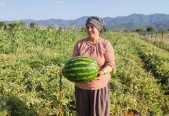 2 dönümden tam 10 ton ürün aldı! Denizli’de 52 yaşındaki kadın üreticinin ata tohumu mucizesi