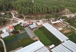 TOKİ, 383 arsayı açık artırma yöntemiyle satışa sunacak