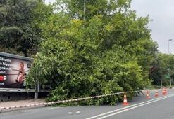 Meteoroloji uyarmıştı! İstanbul’da sağanak sonrası ağaçlar devrildi, rögarlar taştı