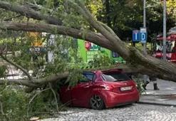 Şiddetli rüzgar ağacı kökünden söktü! Otomobilin üzerine devrildi