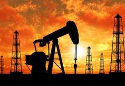 İran Petrol Bakanı Muhsin Paknejad istifa etti