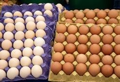 Beyaz mı yoksa kahverengi mi? USDA ve beslenme uzmanları gerçek yumurta kalitesini açıkladı